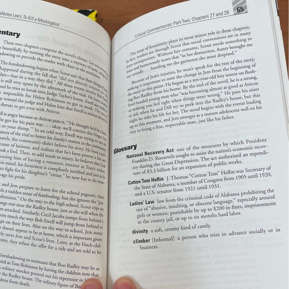 Cliff’s Notes Study Materials for “Of Mice and Men” and “To Kill a Mockingbird” - Picture 4 of 8